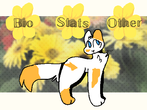Dipperpaw ❈ DaisyClan ❈ ||
