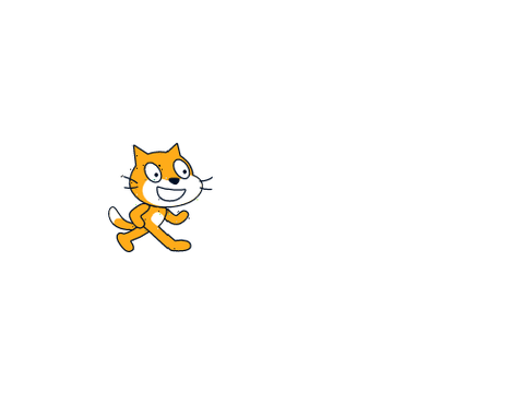 colorful cat
