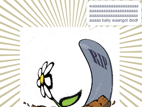 R.I.P BABY WAANGOT