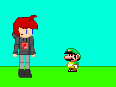 CR901 VS. little mario guy. (3)