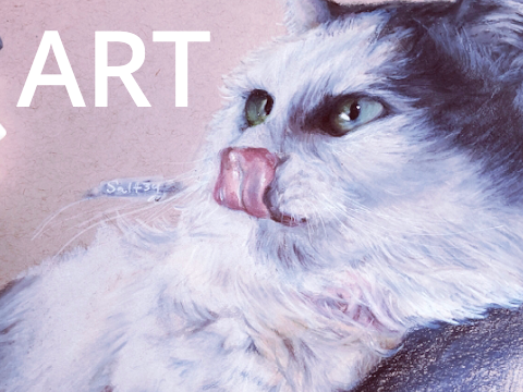 Pet portraits!