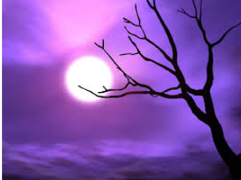 Twilight