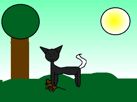 SunlightClan