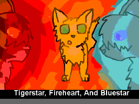 1st entry(cats)