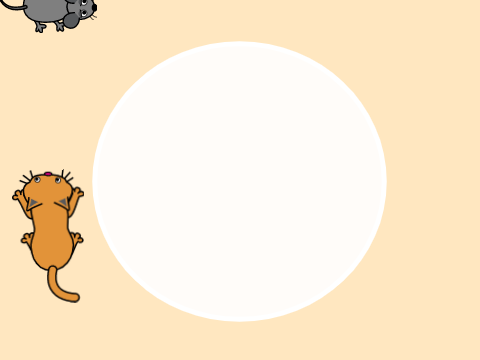 CAT AND MOUSE
