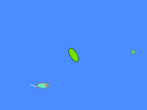 microscopic game thing