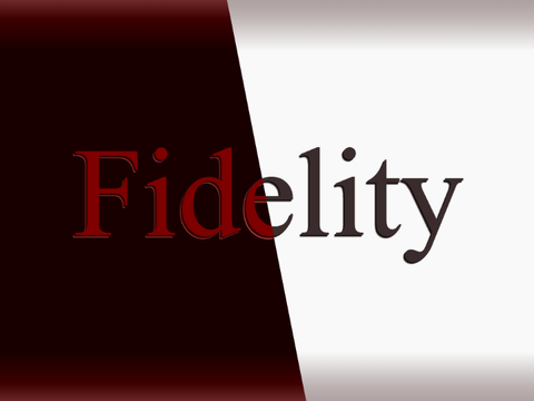 Fidelity