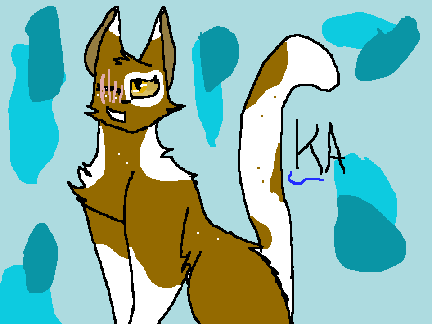 K-A-S-N-A-Z-Z-L-E