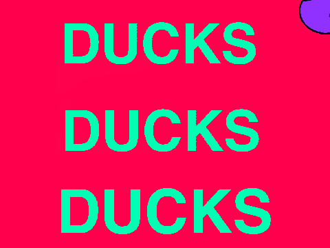 DUCKS (WARNING FLASHY IMAGES)