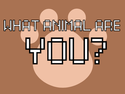 WHICH ANIMAL ARE YOU?