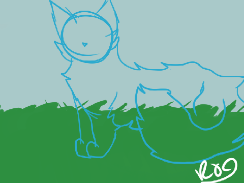 some cat animations