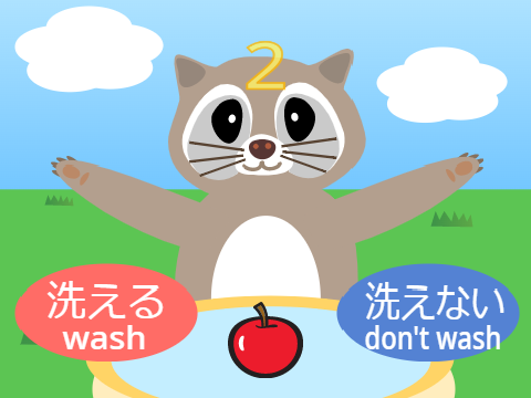 洗える？洗えない？ To wash or not to wash?