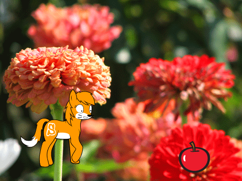 This is Neigh Pony territory!