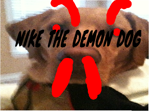 MEH DOG NIKE