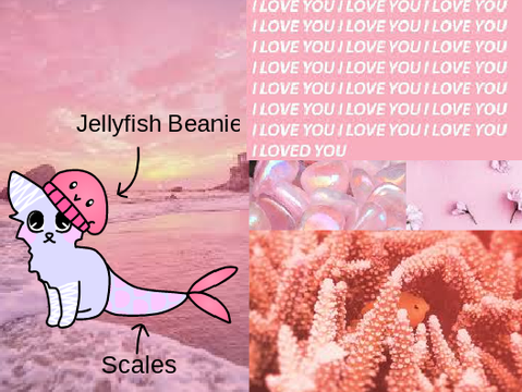 Coral/Pink Aesthetic