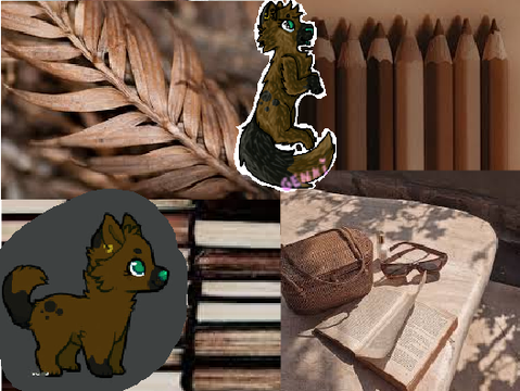 Brown Aesthetic