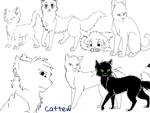 Add yourself as a cat!!! 