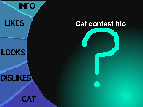 Contest Cat Bio