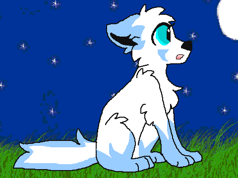 Coloring Contest (my entry~)