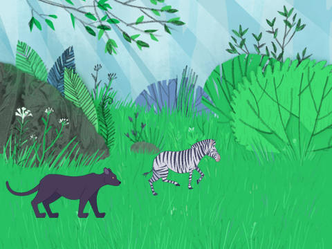 three little zebras