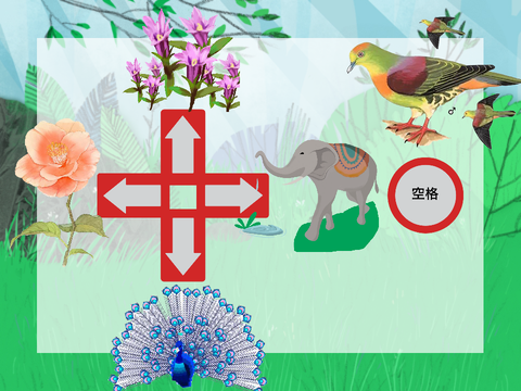 云南雨林的乐章！