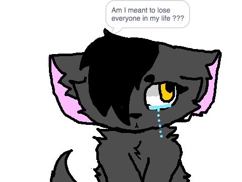 100 bad days cc entry