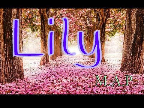 LILY *OPEN* MAP
