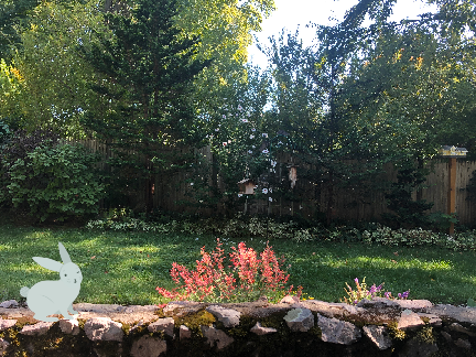 Garden Friends