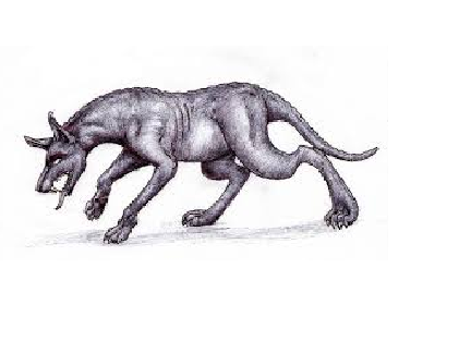 the chupacabra