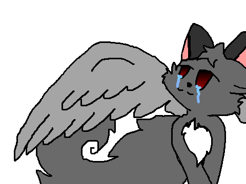 angel of darkness cc entry 