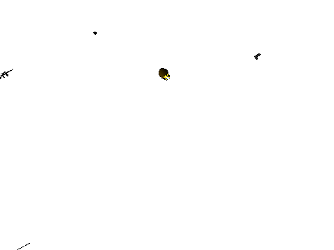 Birds eye weapon shooting test