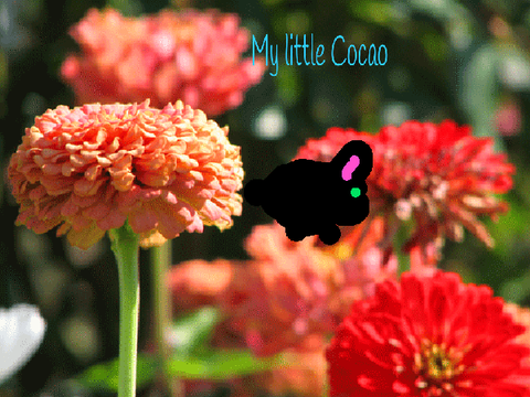 i love cocoa!!!!!!