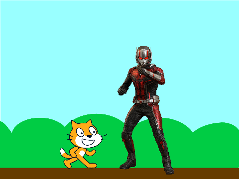 Scratch Cat enters the quantum realm