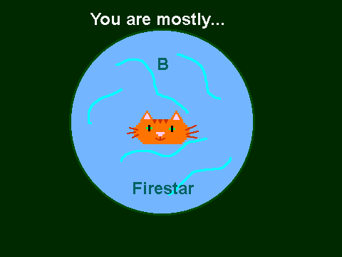 Which warrior cat are you
