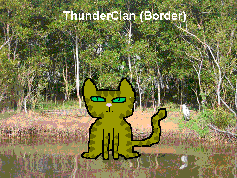 Warrior cat maker