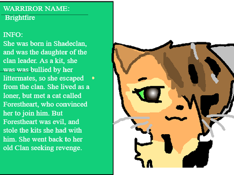 entry for making of shadeclan-competition 