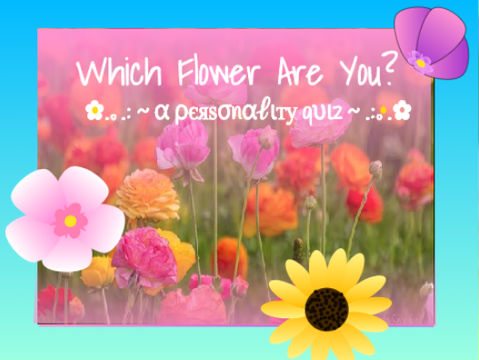 ◦•●* ✿ ωнιcн fℓσωєя αяє уσυ? ✿ *●•◦