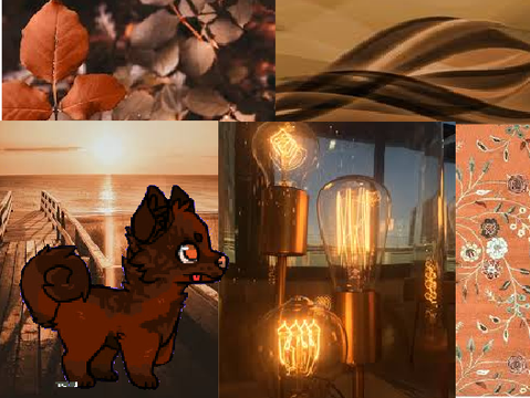 Brown/Orange aesthetic