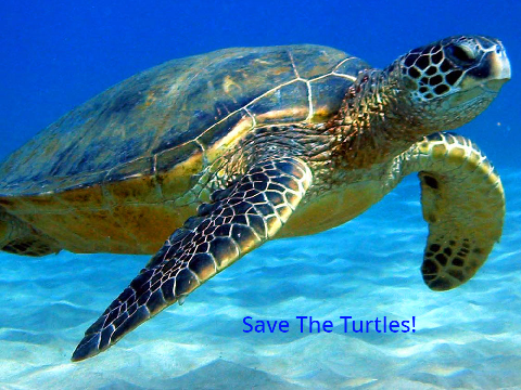 SAVE THE TURTLES