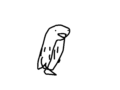 an owl