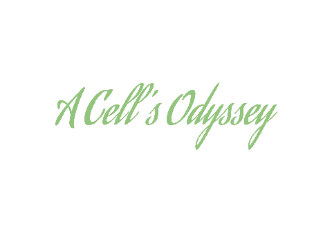 A Cell's Odyssey