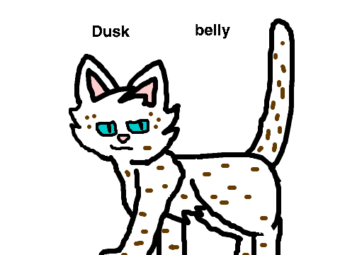 Random Warrior Cat Generator!