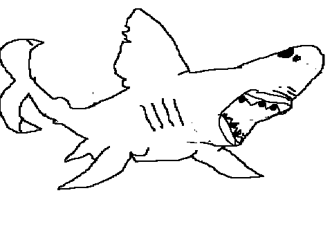 great white shark CC