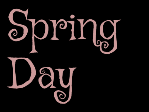 Spring Day FMT 