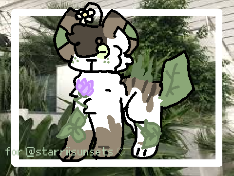 = ᴀᴛᴛᴀᴄᴄ ᴏɴ @ꜱᴛᴀʀʀɪɪꜱᴜɴꜱᴇᴛꜱ =