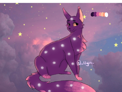 Meet Twinkles (Nighty)