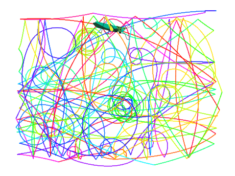 A Bug in my Program