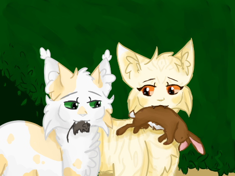 illustration 2