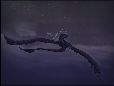 Night Flying