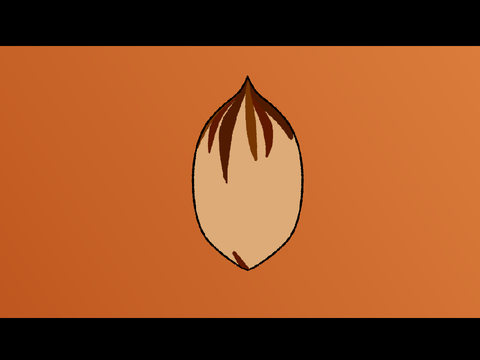 pecans are a-fallin'
